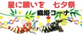 星に願いを！七夕祭り　７月７日～
