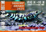 ９月のセール等のお知らせ