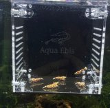 NEWアイテム撮影用アクリルケース新発売のお知らせ