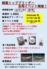 12月イベントのお知らせ