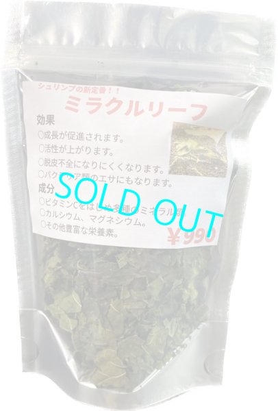 画像1: エビ飼育の新定番　★ミラクルリーフ★ (1)