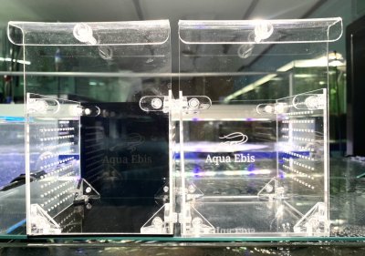 画像1: 【新発売】　撮影・隔離兼用　黒・透明２WAYアクリルボックス　1個　ネコポス可　※発送9日着から