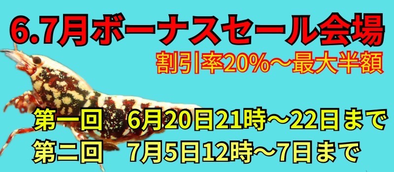 6.７月のボーナスセール